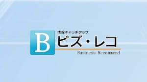 ビズ・レコ