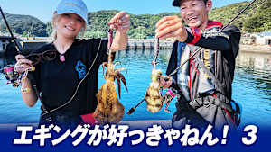 【追/見】エギングが好っきゃねん！ 3 サイトエギング
