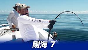 【追/見】剛海 7 フロリダの巨大魚ゴライアスグルーパー後編