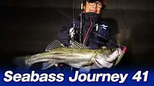 【追/見】Seabass Journey 41 山口県山陽エリア