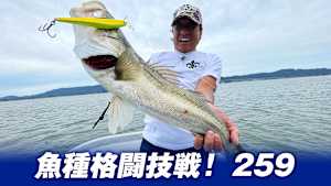 【追/見】魚種格闘技戦！ 259 秋の山陰中海シーバス