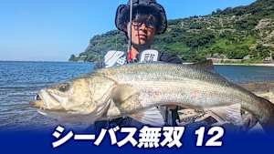 【追/見】シーバス無双 12 熊本県リバーシーバス