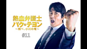 【見逃し】熱血弁護士 パク・テヨン 飛べ、小川の竜＃11