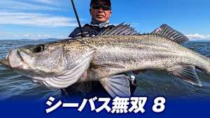 【追/見】シーバス無双 8 長崎県＆熊本県 有明海