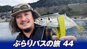 【追/見】ぶらりバスの旅 44 兵庫県北中部