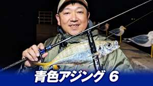 【追/見】青色アジング 6 秋の高松でナイトアジング！