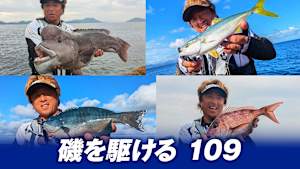 【追/見】磯を駆ける 109 萩・周防大島の旅