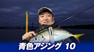 【追/見】青色アジング 10 三重・渡鹿野島でナイトアジング