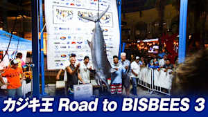 【追/見】カジキ王 Road to BISBEES 3