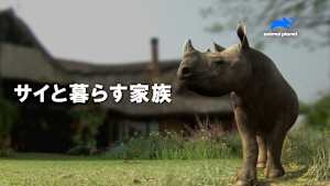 【見逃し】サイと暮らす家族