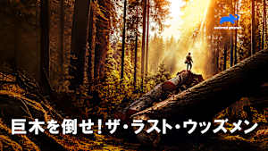【見逃し】巨木を倒せ！ザ・ラスト・ウッズメン S1：巨木ハンターズ始動
