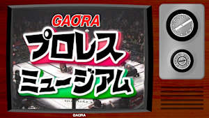 GAORAプロレスミュージアム「闘龍門 ベストセレクション②」 #48