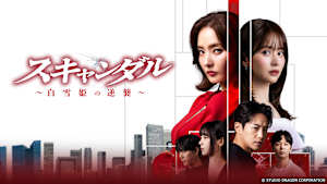 韓国ドラマ「スキャンダル ～白雪姫の逆襲～」#11
