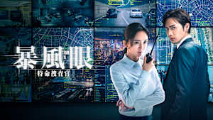 暴風眼 -特命捜査官-
