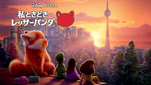 私ときどきレッサーパンダ