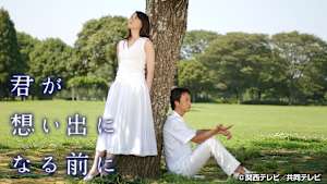 君が想い出になる前に