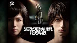 シロでもクロでもない世界で、パンダは笑う。