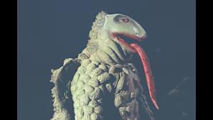 ウルトラマンレオ 第44話 恐怖の円盤生物シリーズ！ 地獄から来た流れ星！