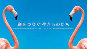 ＮＨＫスペシャル　命をつなぐ生きものたち