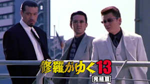 修羅がゆく13 完結篇