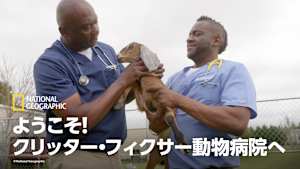 ようこそ！クリッター・フィクサー動物病院へ