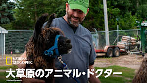 大草原のアニマル・ドクター