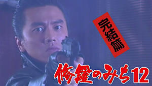 修羅のみち12 完結篇