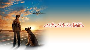 ハチとパルマの物語