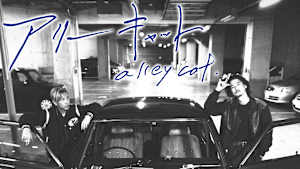 アリーキャット