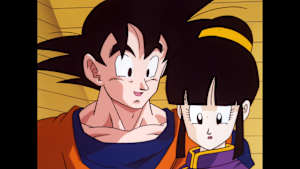 第147話 修行を急げサイヤ人！精神と時の部屋で…