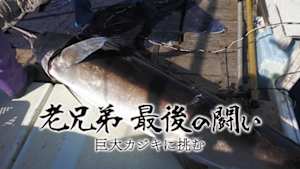 老兄弟　最後の闘い　巨大カジキに挑む
