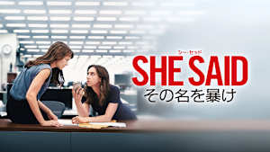 SHE SAID／シー・セッド その名を暴け