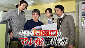 オバチャン保険調査員 赤宮楓のマル秘事件簿