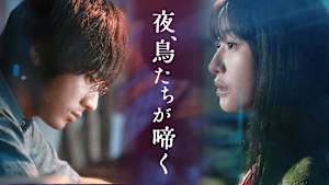 夜、鳥たちが啼く