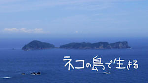 ネコの島で生きる