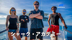 シャーク・アカデミー