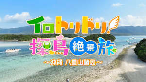 イロトリドリ！探鳥絶景旅