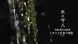 水の守人　京都　鴨川の源流　めぐる生命（いのち）の物語