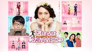 逃げるは恥だが役に立つ