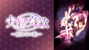 夫婦交歓～戻れない夜～【オンエア版】