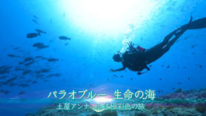 パラオブルー　生命の海　～土屋アンナ　地球極彩色の旅～