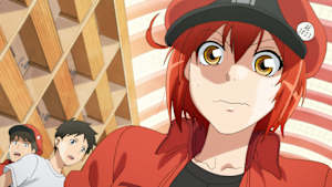 はたらく細胞 第1話 肺炎球菌