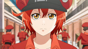 はたらく細胞 第8話 血液循環