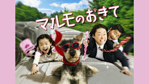 マルモのおきて