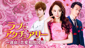 ラブ・アクチュアリー～運命の恋愛相関図～