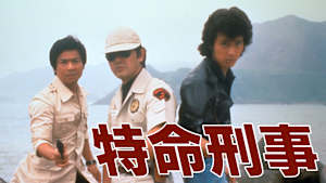 特命刑事