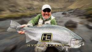 ハイパーエキスパート