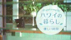 ハワイの暮らし　優しい時間