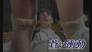 蒼い衝動