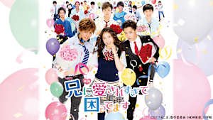 映画「兄に愛されすぎて困ってます」